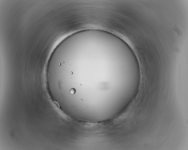 X0000113031056200909101854