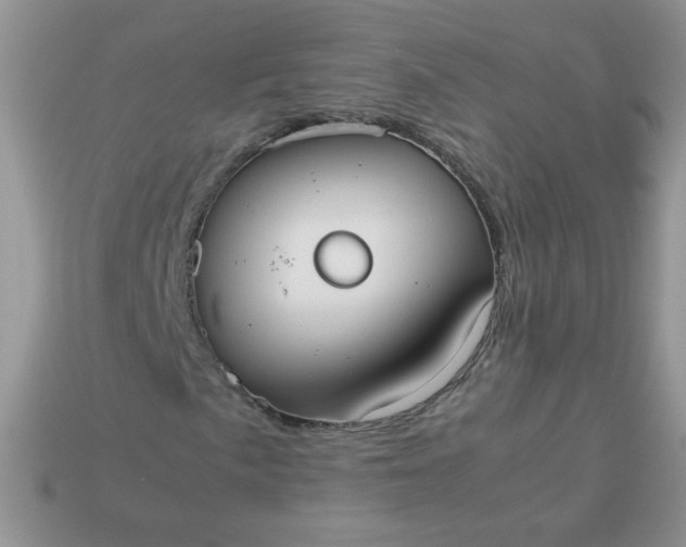 X0000113031057200909101853