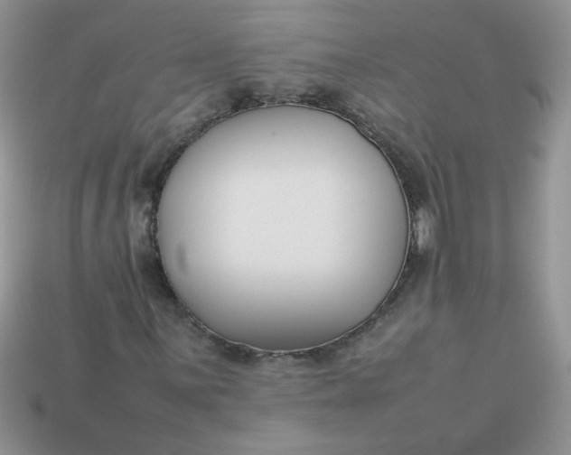 X0000113031059200909101853