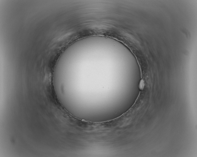 X0000113031061200909101853