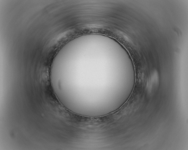 X0000113031062200909101853