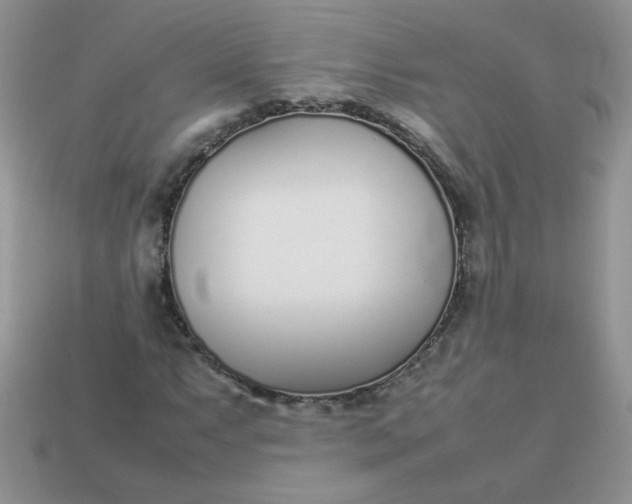 X0000113031063200909101853