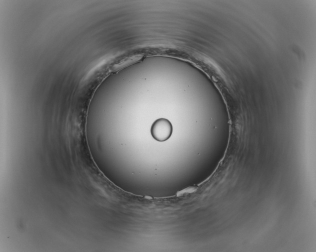 X0000113031064200909101853