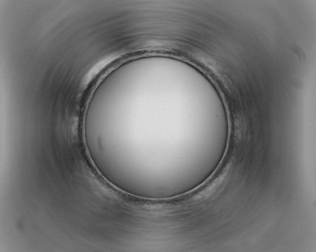 X0000113031066200909101853