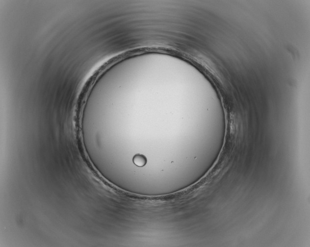 X0000113031068200909101853