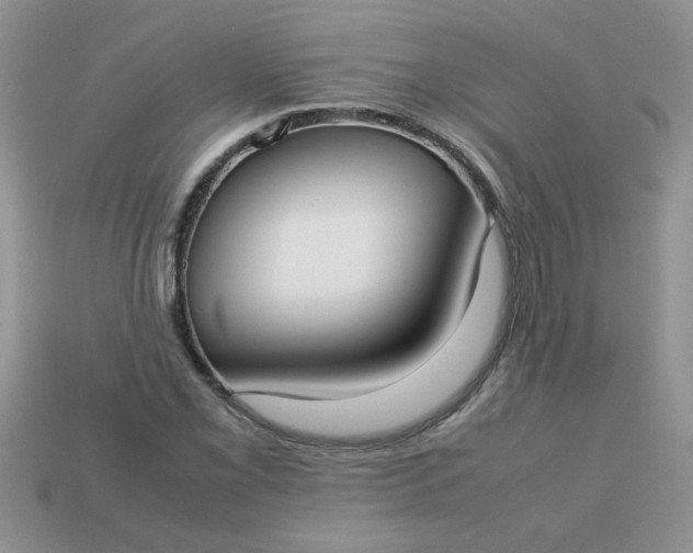 X0000113031069200909101853