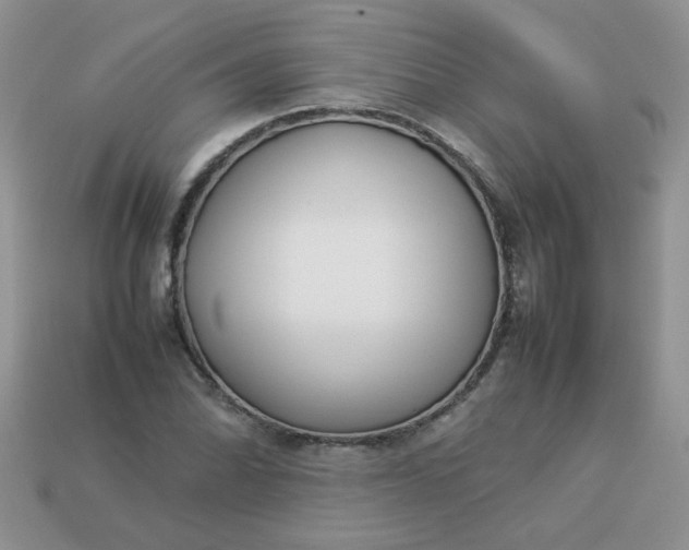 X0000113031070200909101853