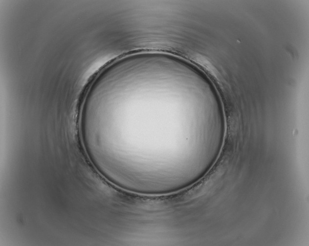 X0000113031071200909101853