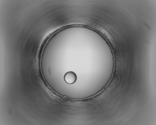 X0000113031072200909101853