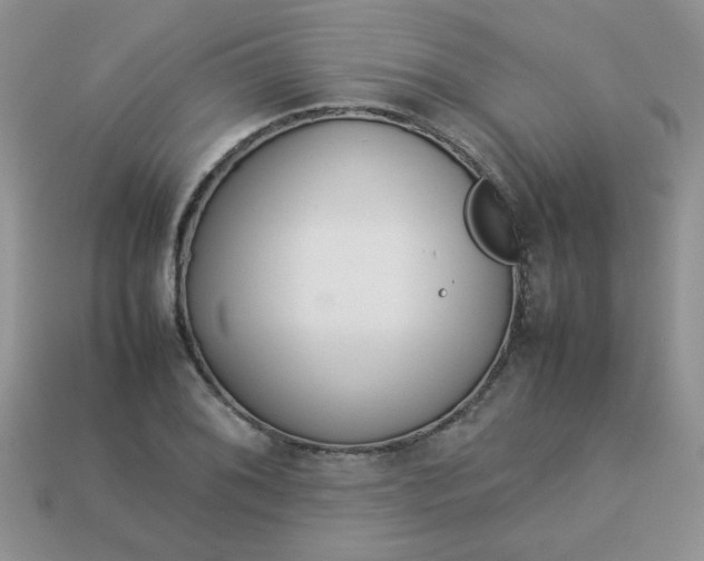 X0000113031076200909101853