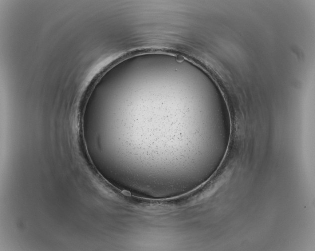 X0000113031077200909101853