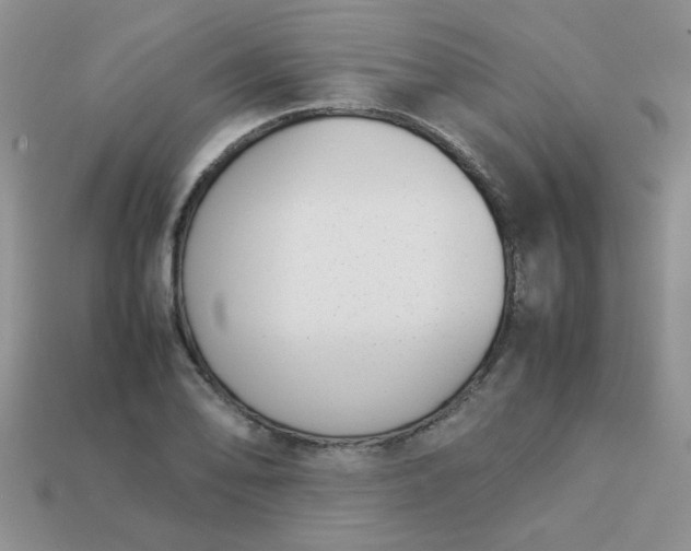 X0000113031078200909101853