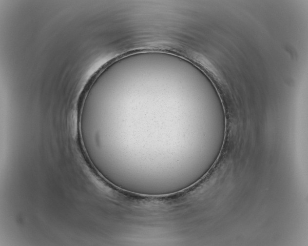 X0000113031079200909101853