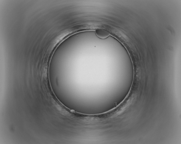 X0000113031081200909101853