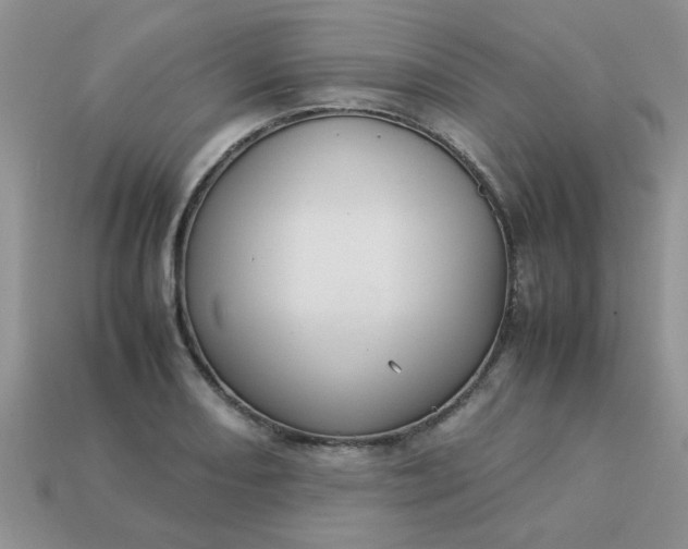 X0000113031082200909101853