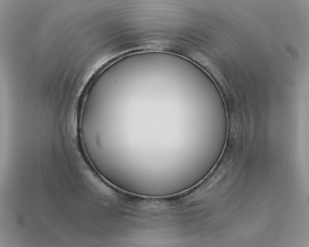 X0000113031083200909101853