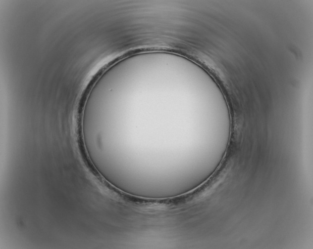 X0000113031085200909101853