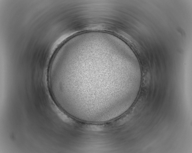 X0000113031086200909101853