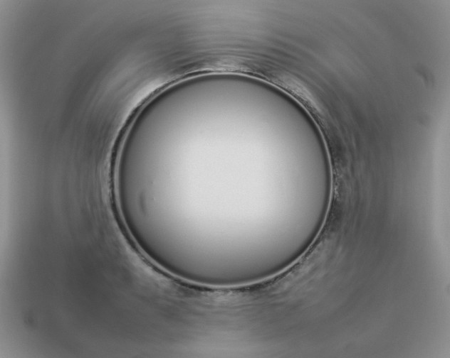 X0000113031087200909101853