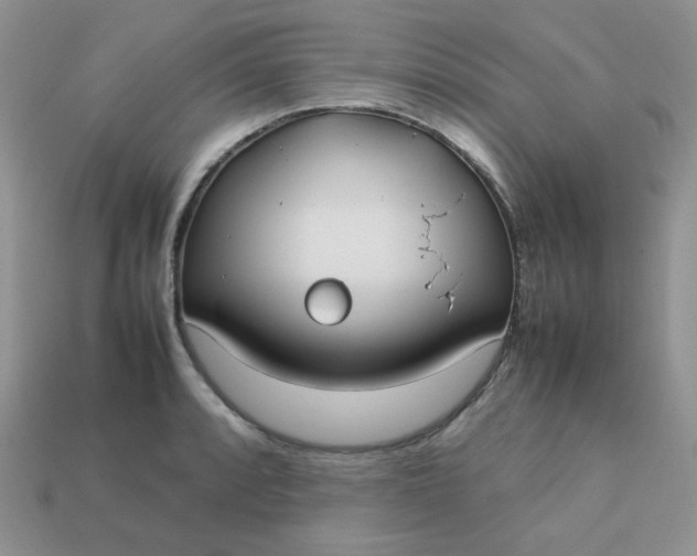 X0000113031088200909101853