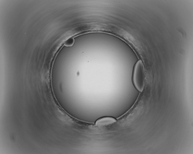 X0000113031089200909101853