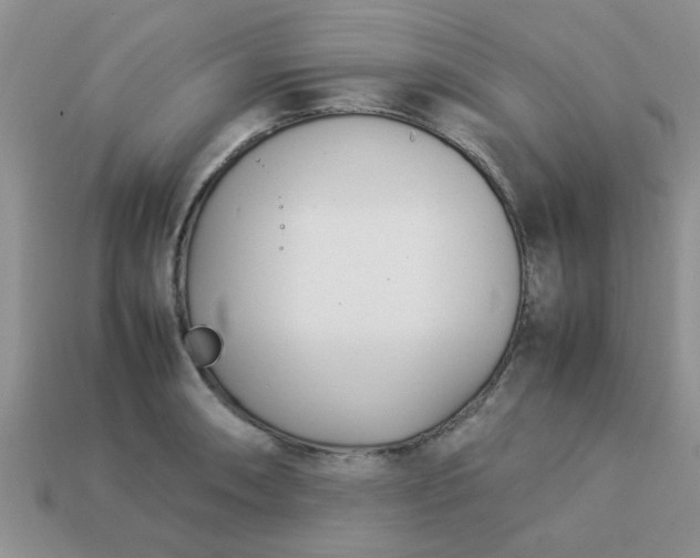 X0000113031090200909101853