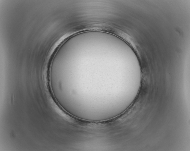 X0000113031091200909101853