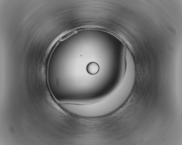 X0000113031092200909101853