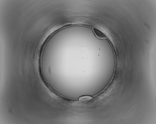 X0000113031093200909101853