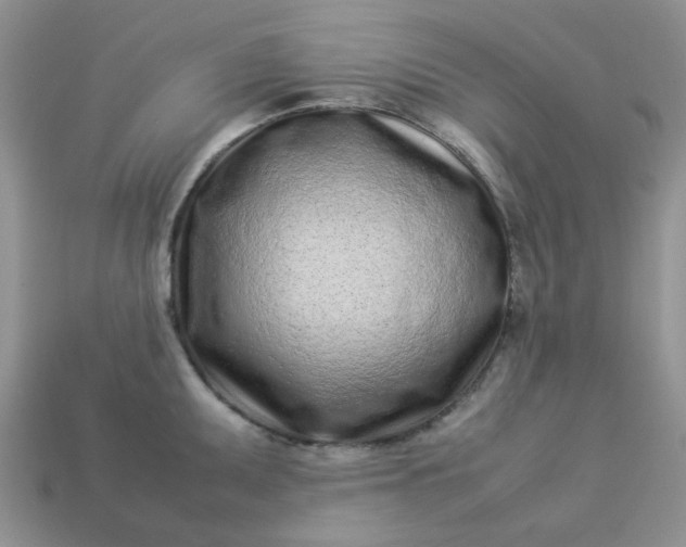 X0000113031095200909101853