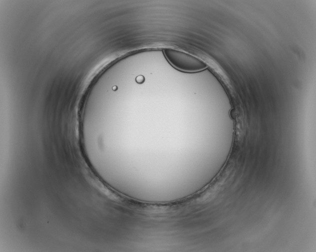 X0000113031096200909101853