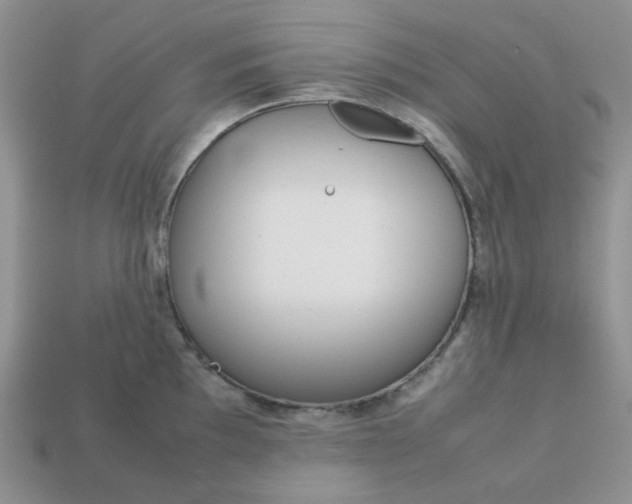 X0000113031097200909101853