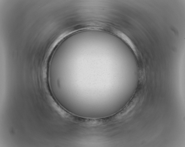 X0000113031099200909101853