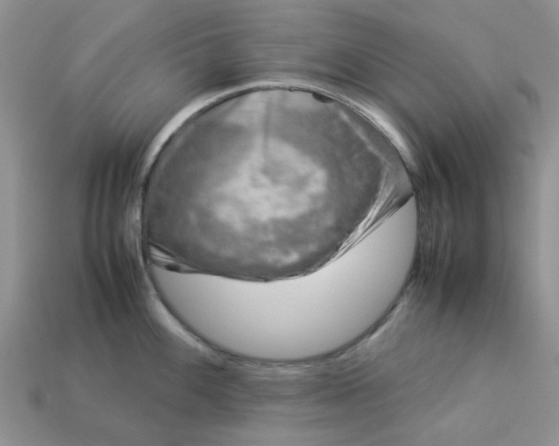 X0000113031100200909101852