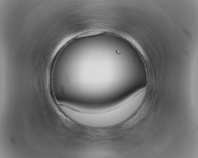 X0000113031101200909101852