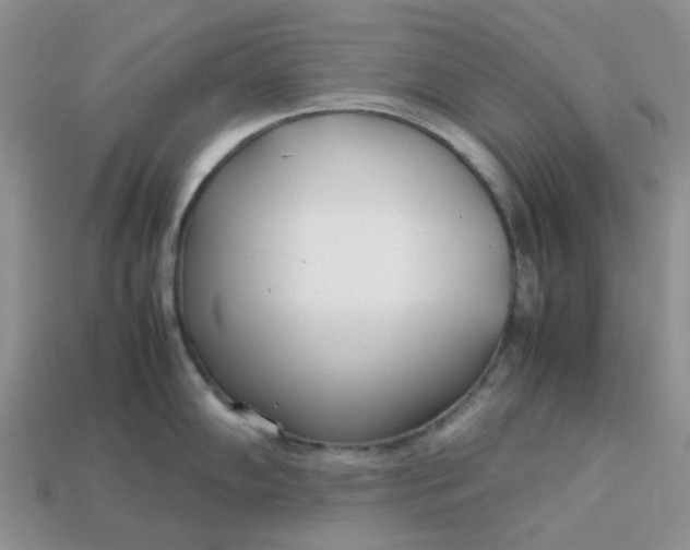 X0000113031102200909101852