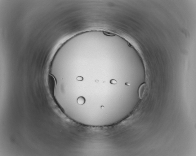 X0000113031104200909101852