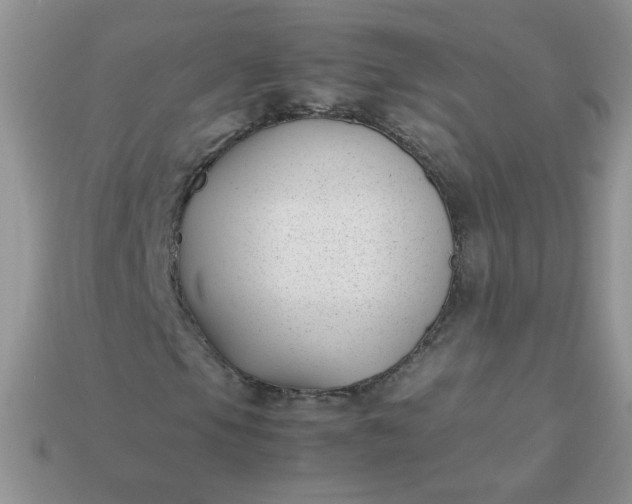 X0000113031105200909101852