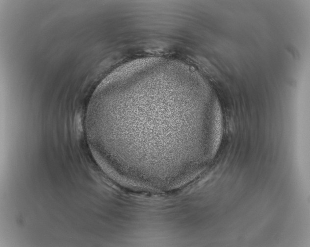 X0000113031106200909101852