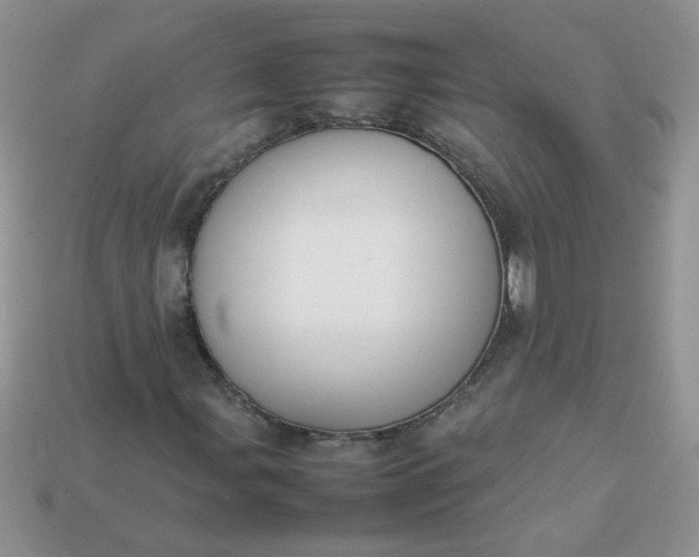 X0000113031107200909101852