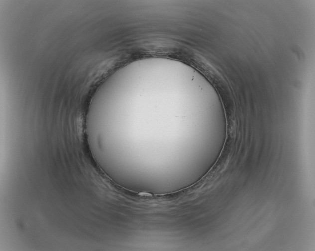 X0000113031108200909101852