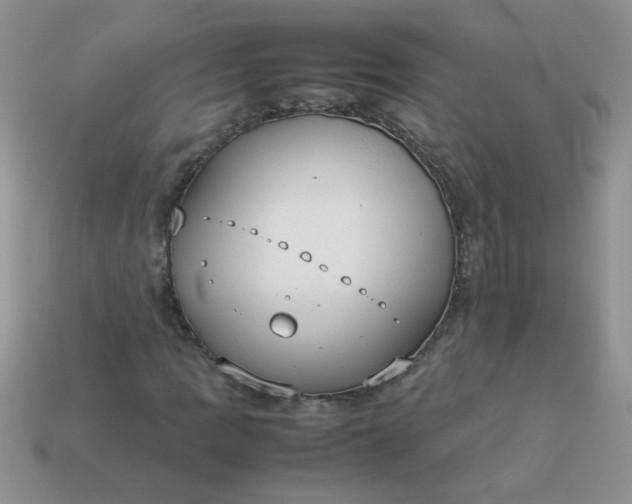 X0000113031109200909101852