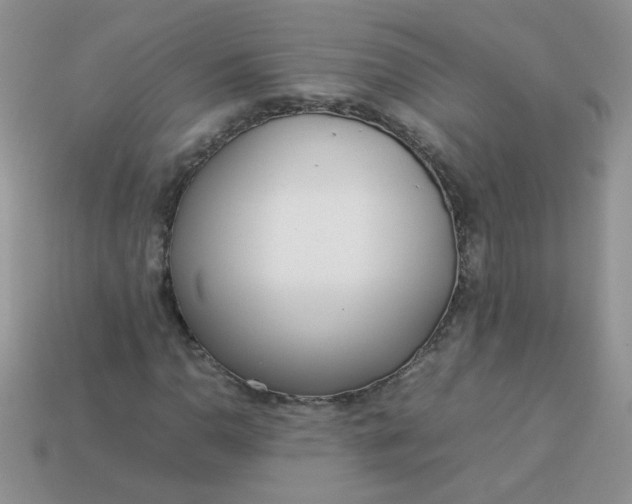 X0000113031110200909101852