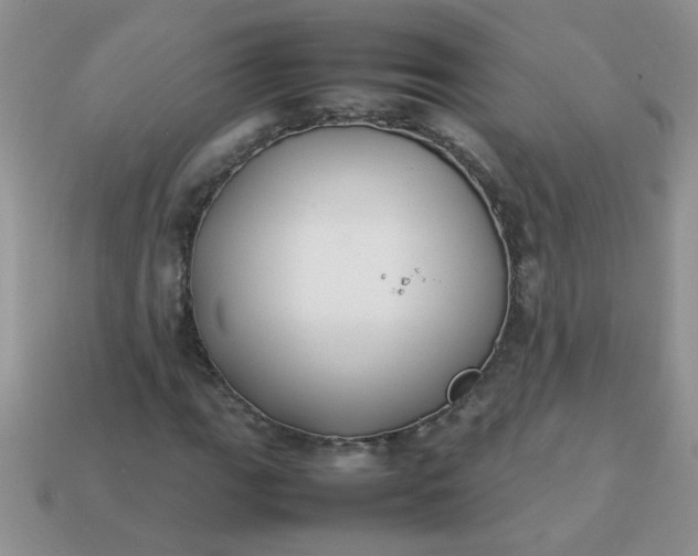 X0000113031111200909101852