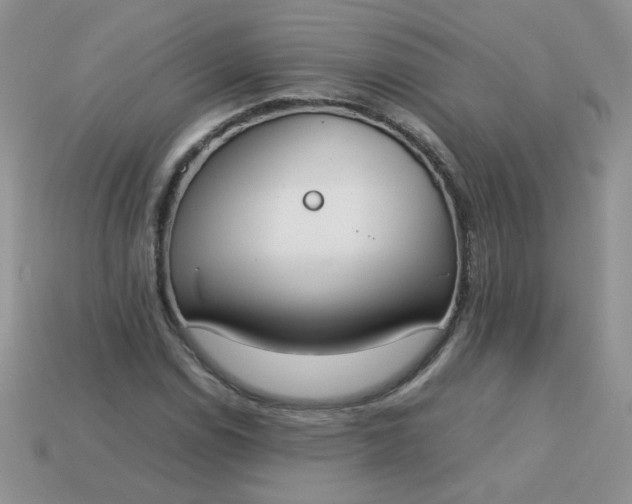 X0000113031114200909101852