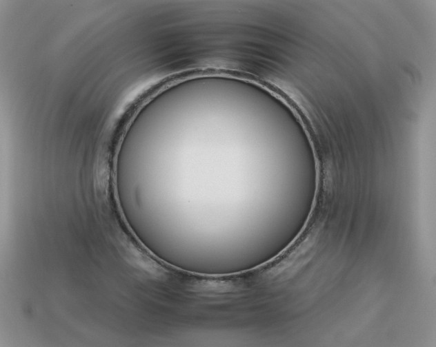 X0000113031115200909101852