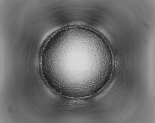 X0000113031117200909101852