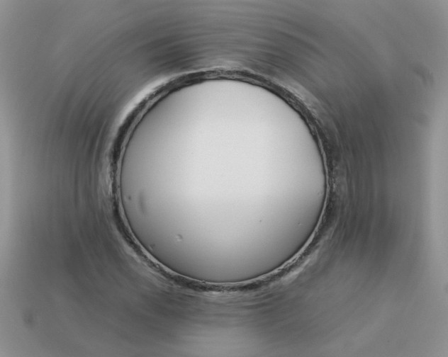 X0000113031118200909101852