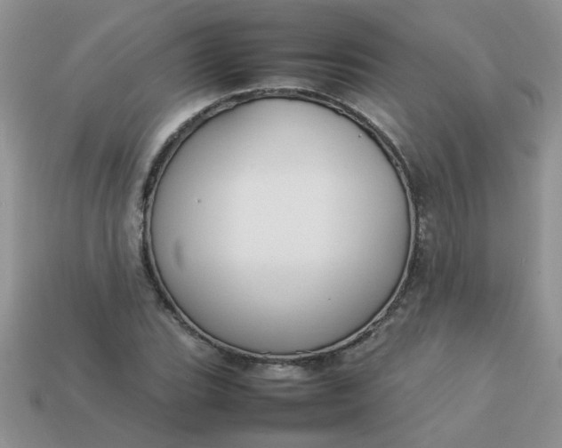 X0000113031119200909101852