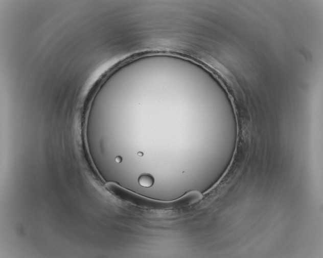 X0000113031120200909101852